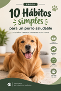 10 Hábitos Simples para un Perro Saludable